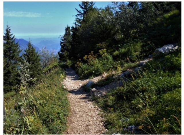 Grenoble Sud Varces Suite Privatisee Au Pied Des Montagnes 외부 사진